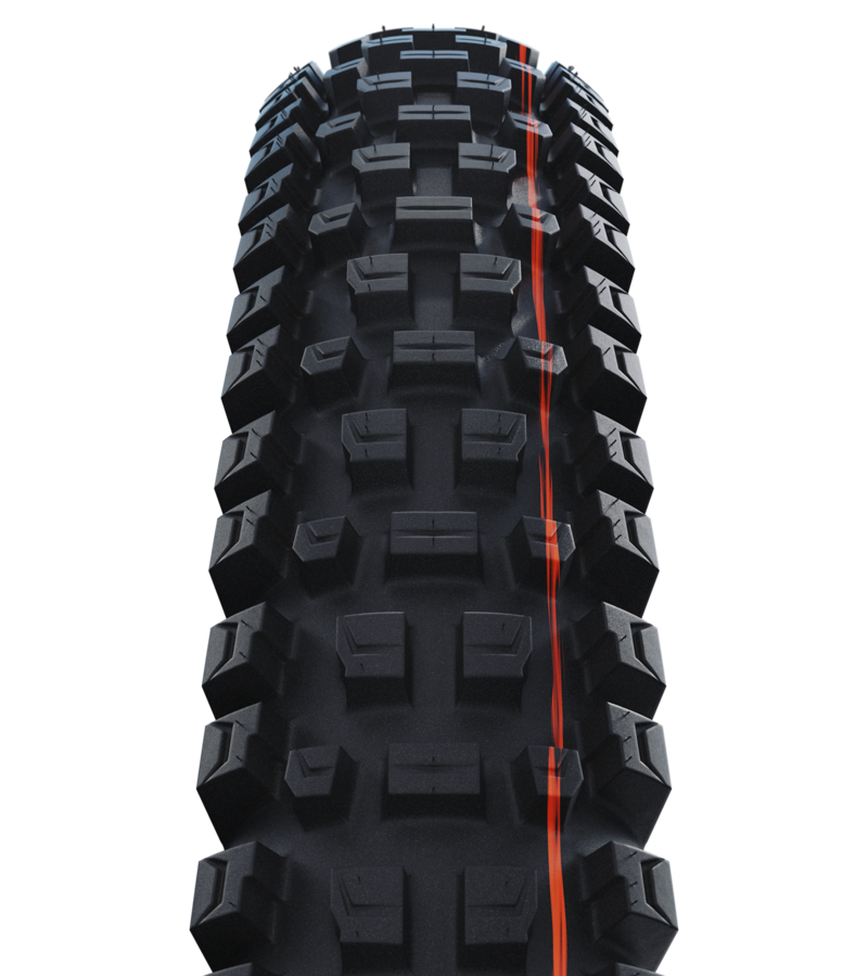 Schwalbe Albert Radial Tubeless Ready