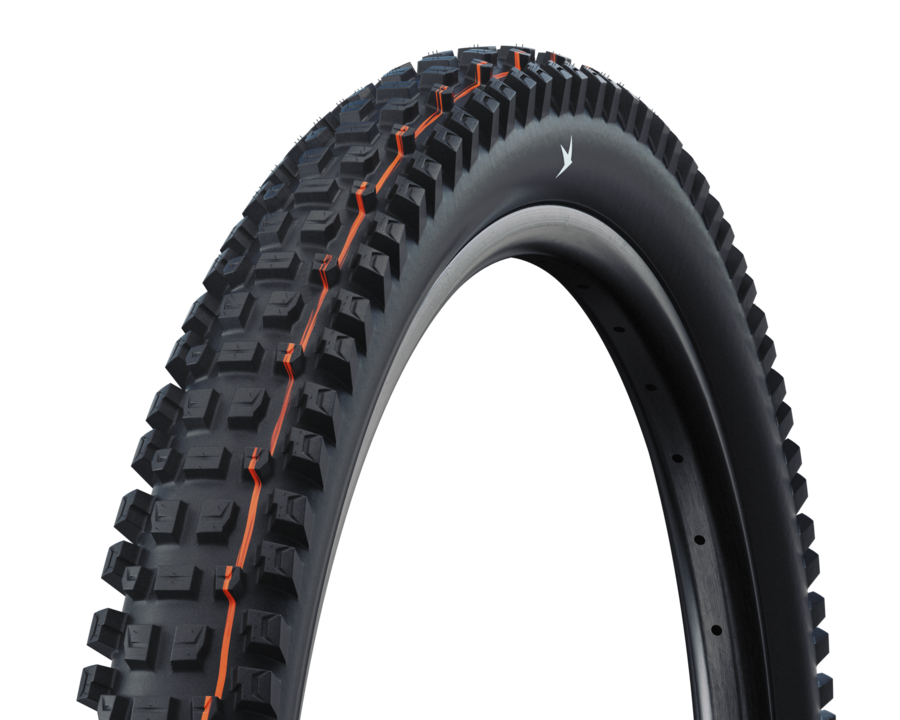 Schwalbe Albert Radial Tubeless Ready