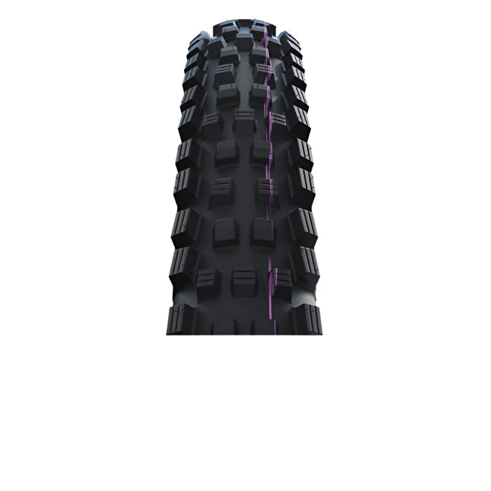 Schwalbe Magic Mary Radial Carcass