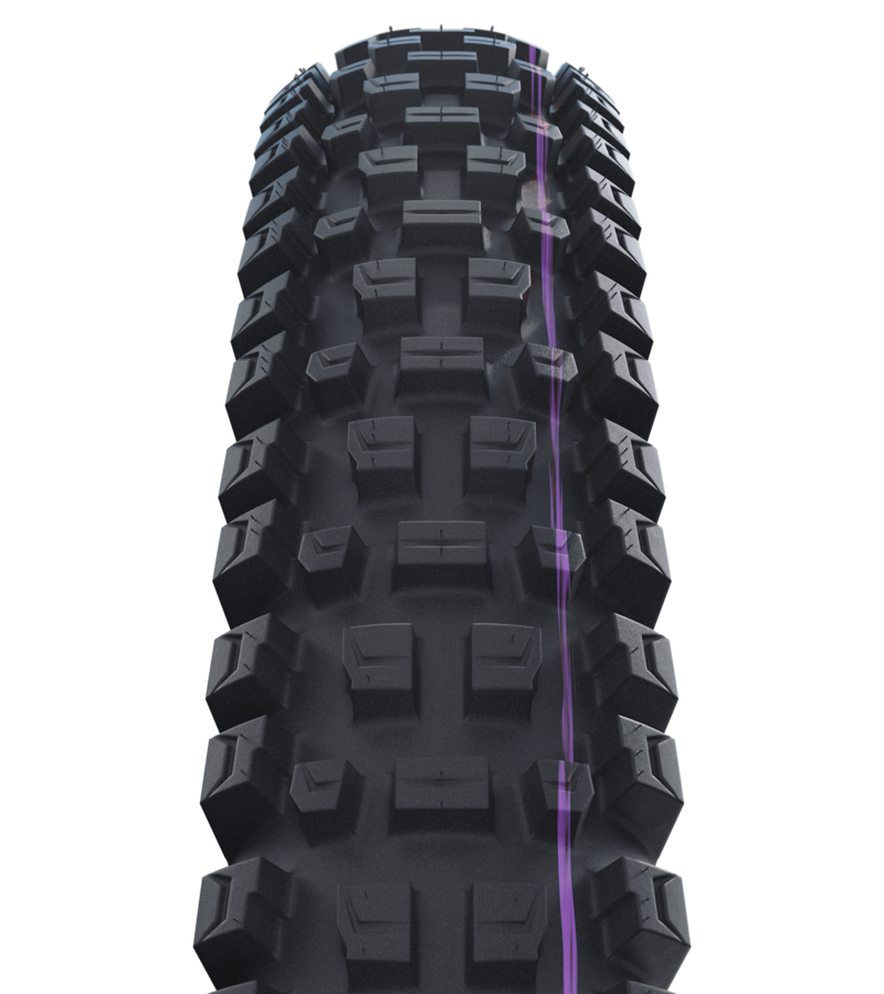 Schwalbe Albert Radial Tubeless Ready