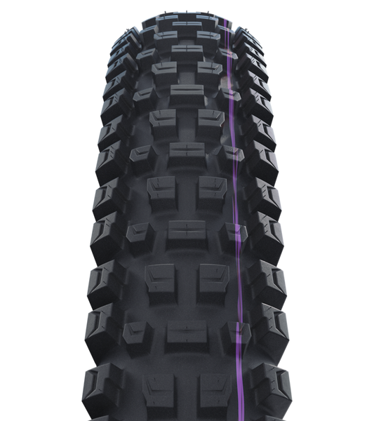 Schwalbe Albert Radial Tubeless Ready