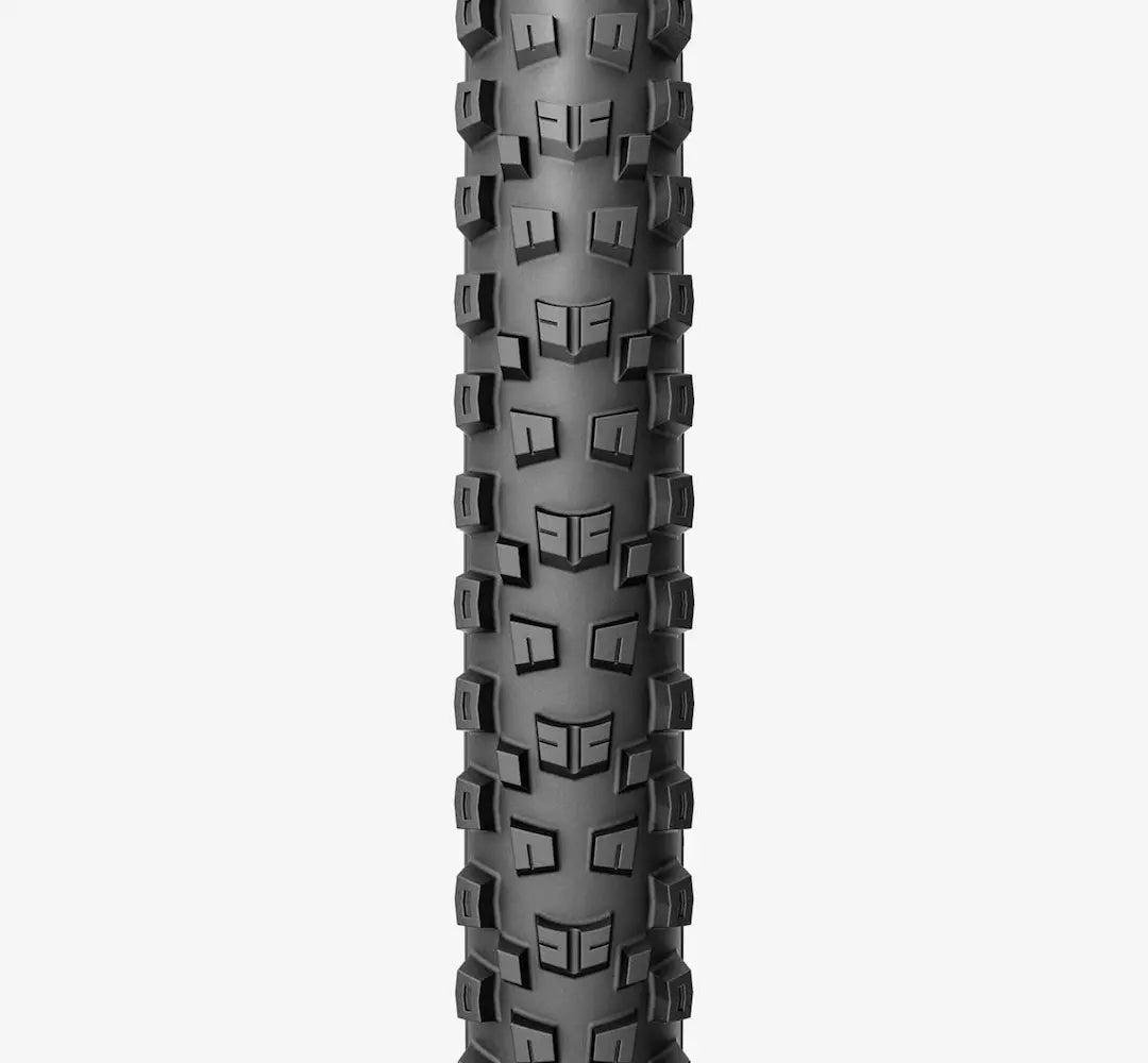 SCORPION™ RACE DH M 29 x 2.5